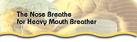 Nose Breathe for Heavy Snorer