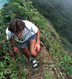 Nose Breathing While Hiking Oahu